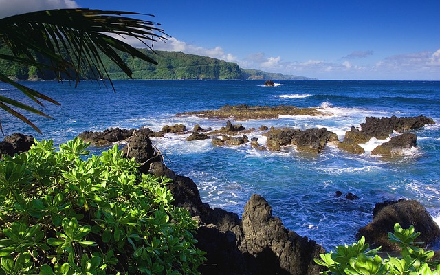 hawaii-95955_640
